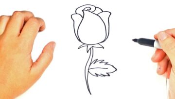 How to draw a Rose Step by Step | Rose Drawing Lesson